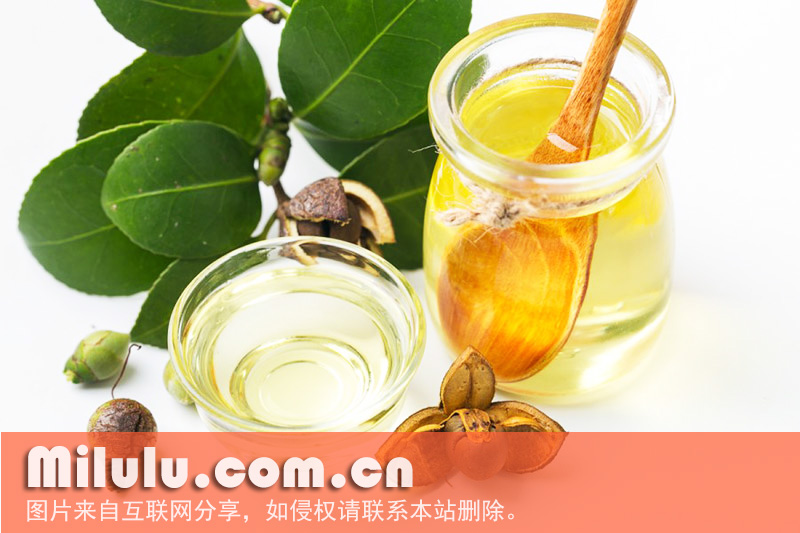 山茶油山茶油