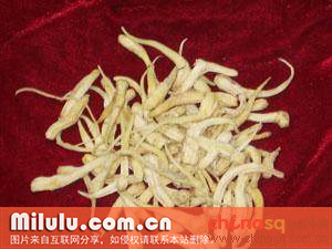 峨眉峨蕊茶图片