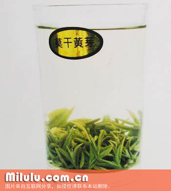 莫干黄芽茶图片