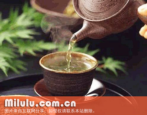 白豪银针茶图片
