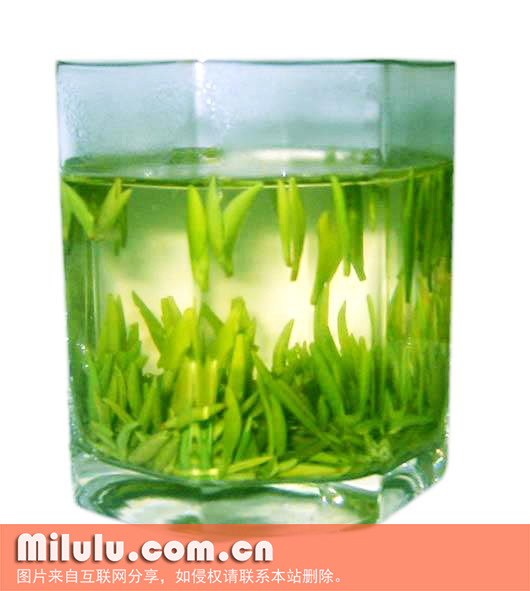 午子绿茶图片