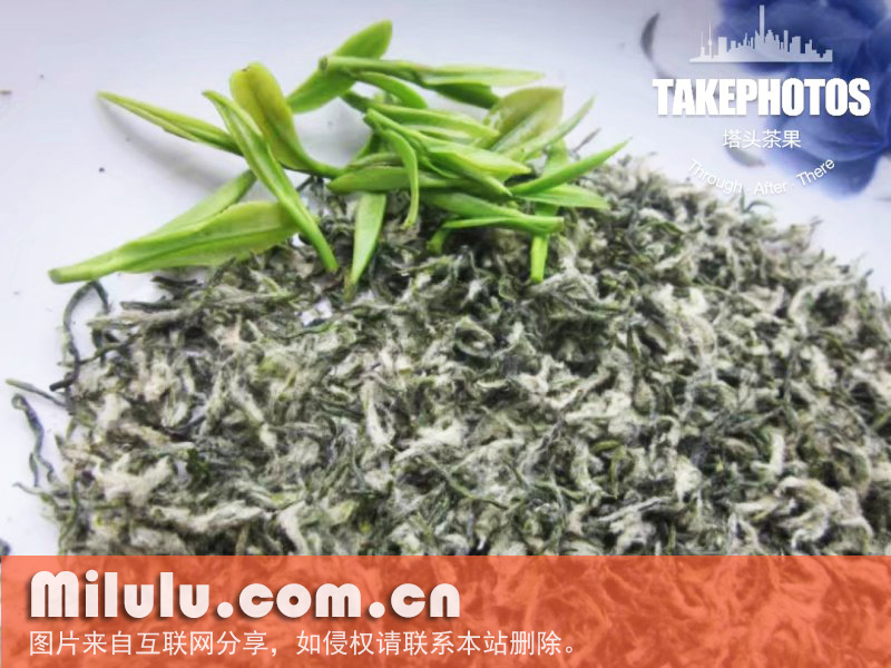 碧螺春茶叶的特产概述