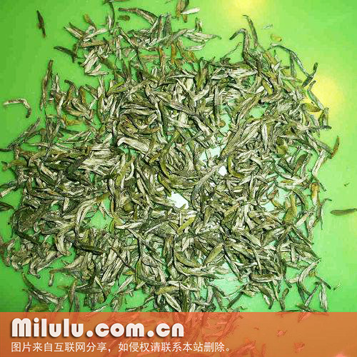 蒙山甘露的采制工艺