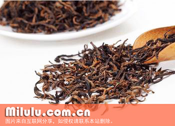 早白尖工夫图片