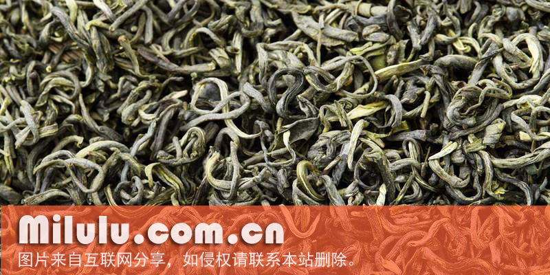 碣滩茶中文名