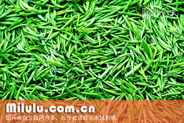 信阳毛尖中文名