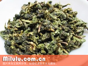黄金桂图片