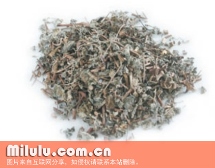 溪黄草-中药