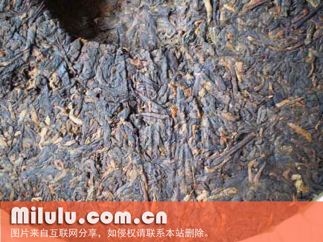 普洱熟茶的制作