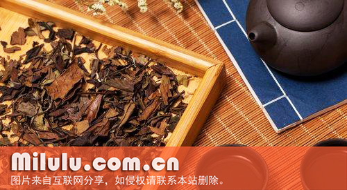榷茶制