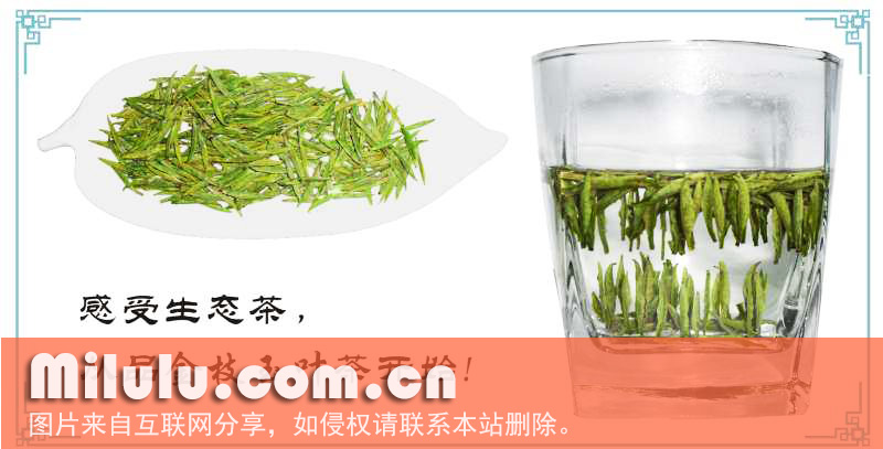 金枝玉叶