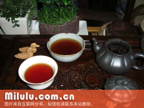 安茶
