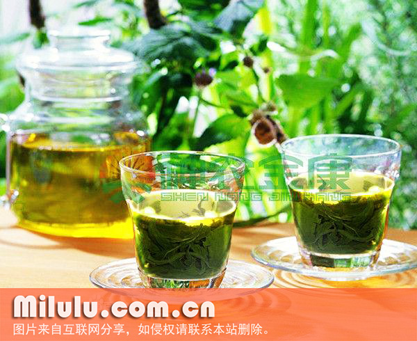 降脂茶