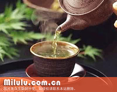 仙人茶图片