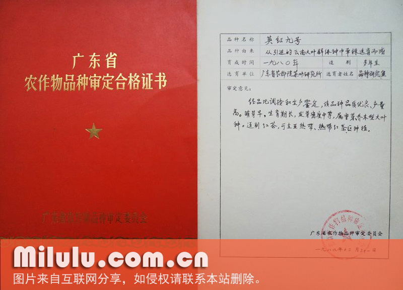 品种审定证书