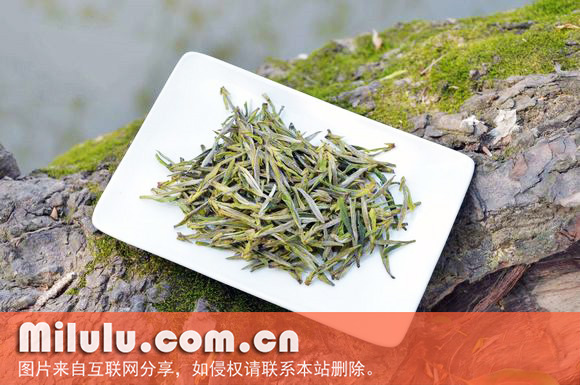 石笕茶图片