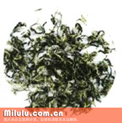 辰州碣滩茶