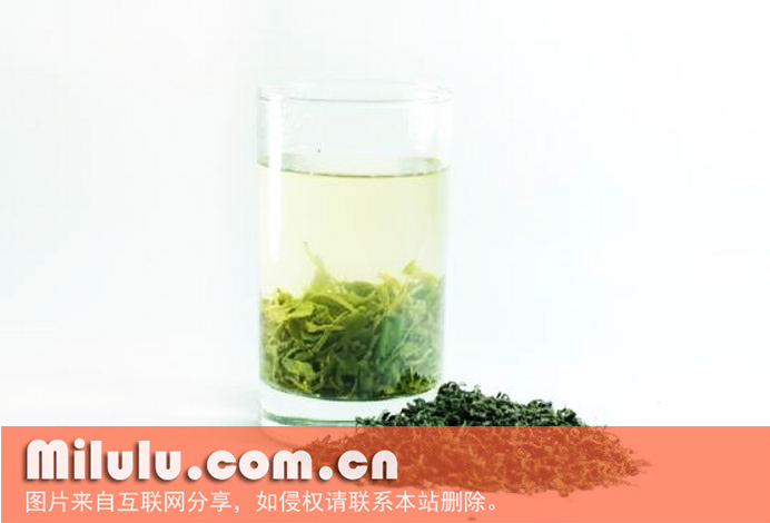 雾茶