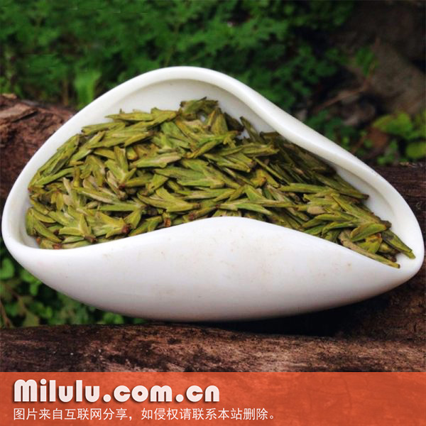 平阳特早茶
