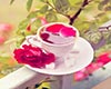 花茶食物营养成分