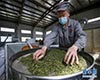 红茶品茗指南