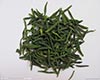 六安瓜片品种分类