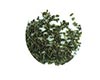 临海蟠毫茶图片