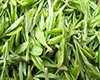 都匀毛尖茶的历史渊源