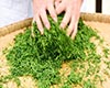 绿茶贮存方法