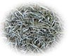 白毫茶图片