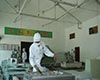 紫阳富硒茶获奖/荣誉