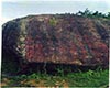 建茶建茶六绝