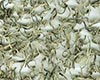 南山白毛茶图片