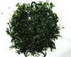 天台山云雾茶图片