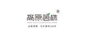 高原茗株品牌LOGO