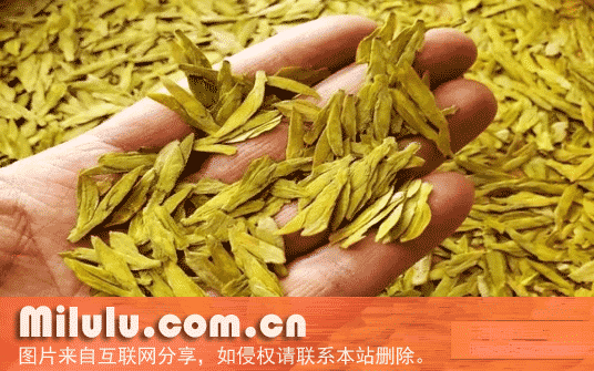 缙云黄茶特产图片