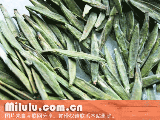 随州芽茶特产图片
