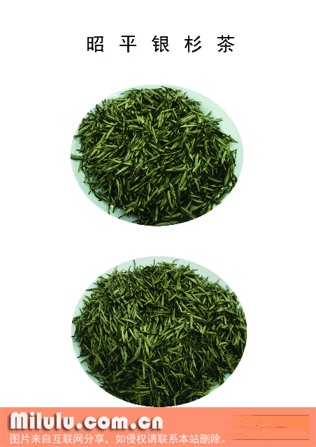 昭平银杉茶特产图片