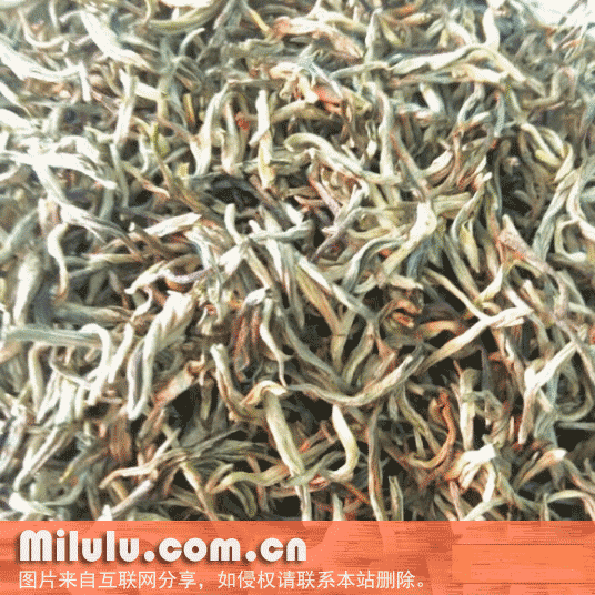 晴隆绿茶特产图片