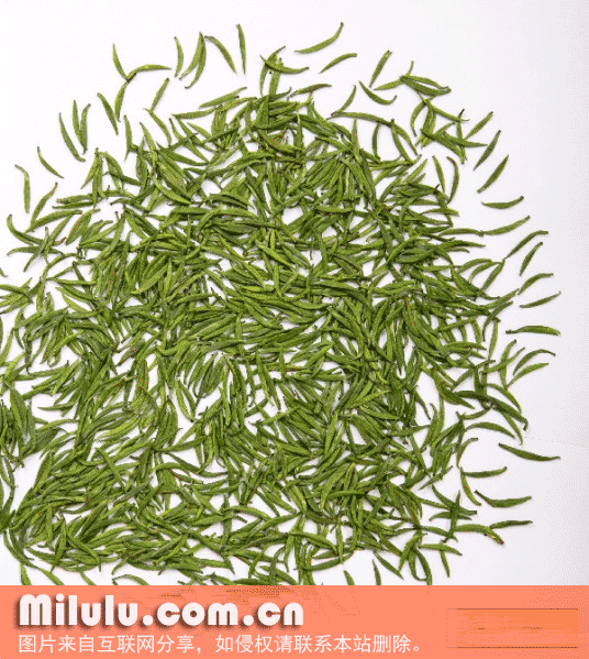 桐庐雪水云绿茶特产图片