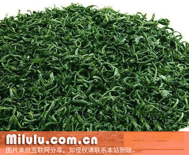 安顶云雾茶特产图片