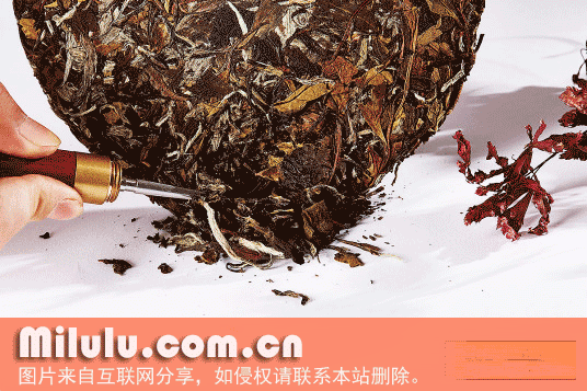 老君眉茶特产图片