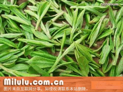 霍山黄大茶特产图片