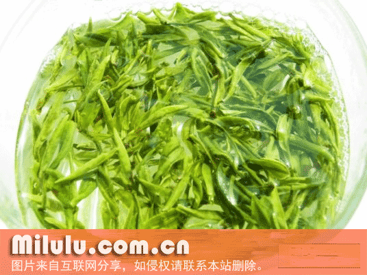 霍山黄芽特产图片