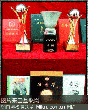 黎平“雀舌茶”特产图片