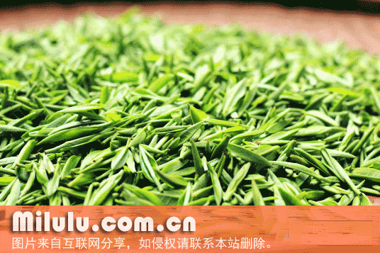 荣成绿茶特产图片