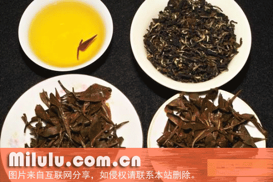 白毫乌龙特产图片