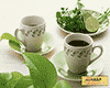 乐昌白毛茶