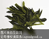 名茶“乡春茗”、“祥风玉竹”