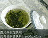 九曲红梅茶叶
